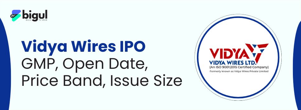 Vidya Wires IPO GMP, Open Date, Price Band, Issue Size